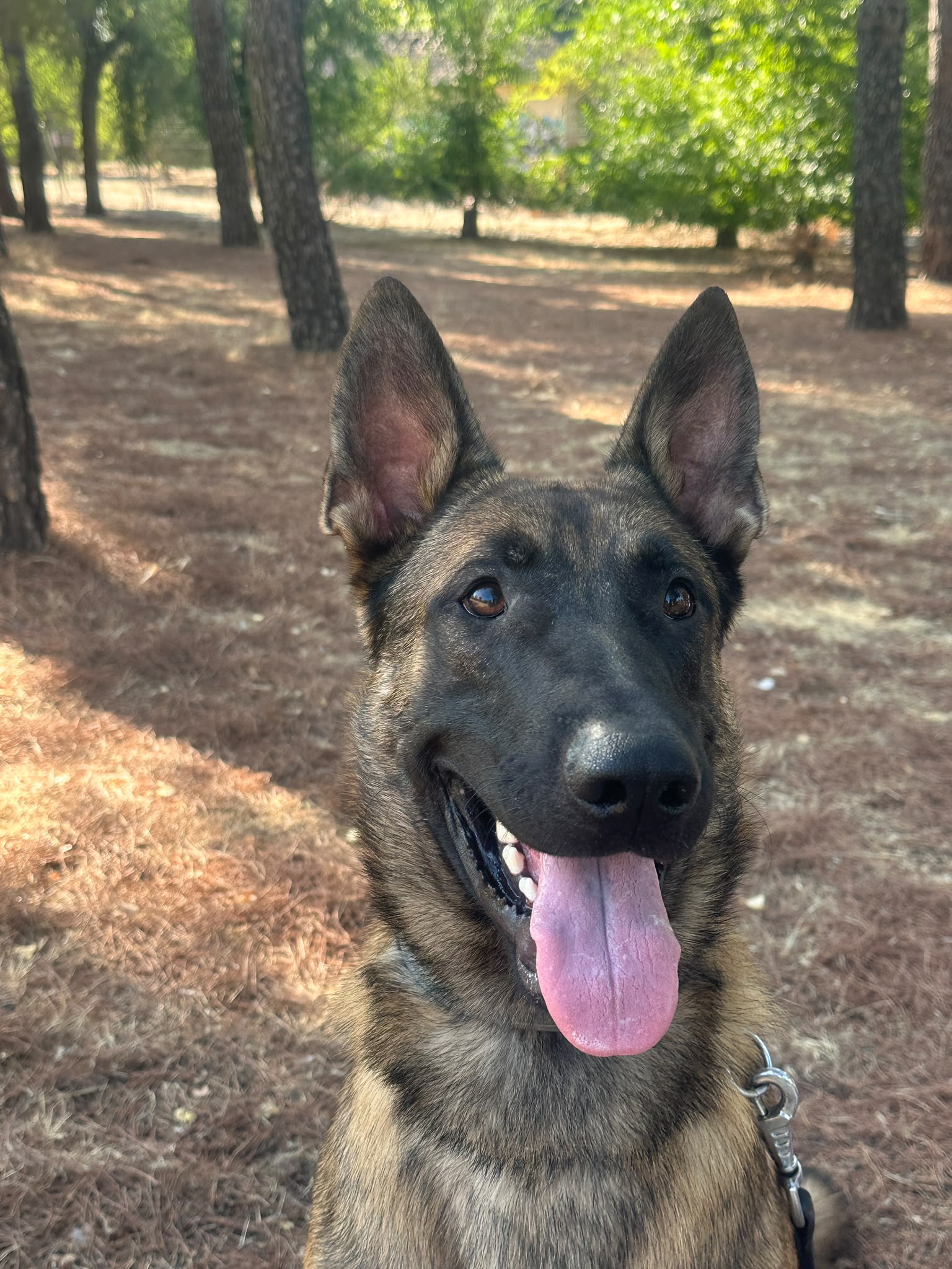 Ares